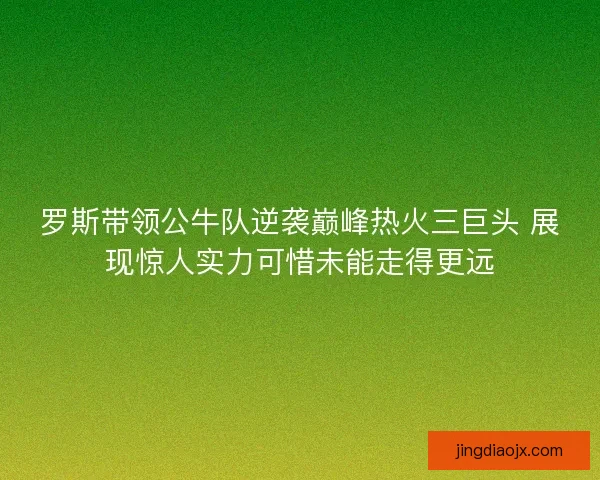 罗斯带领公牛队逆袭巅峰热火三巨头 展现惊人实力可惜未能走得更远