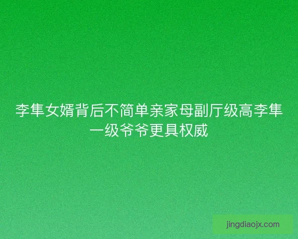 李隼女婿背后不简单亲家母副厅级高李隼一级爷爷更具权威