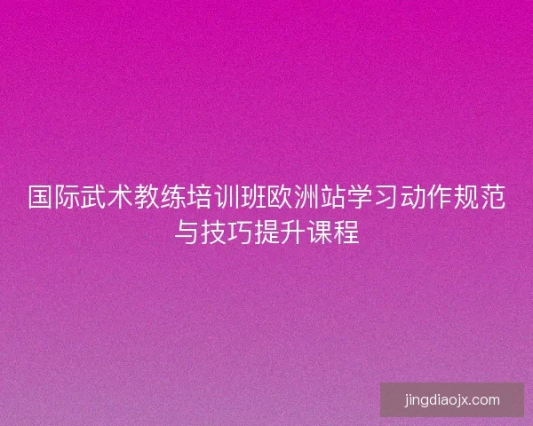 国际武术教练培训班欧洲站学习动作规范与技巧提升课程