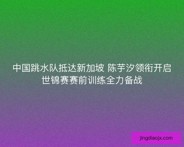 中国跳水队抵达新加坡 陈芋汐领衔开启世锦赛赛前训练全力备战