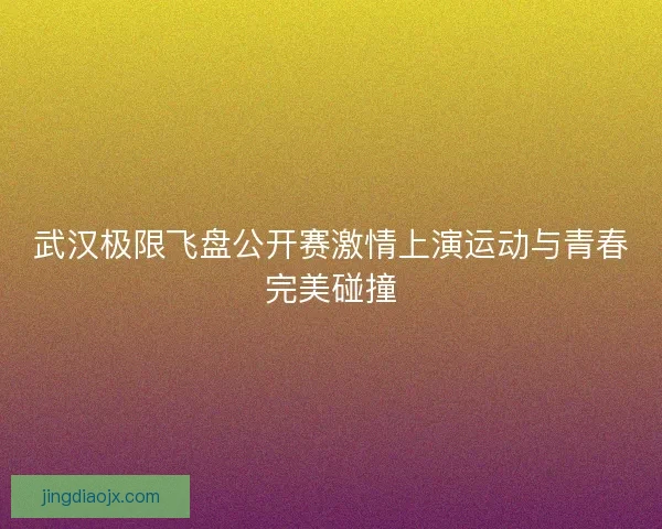 武汉极限飞盘公开赛激情上演运动与青春完美碰撞